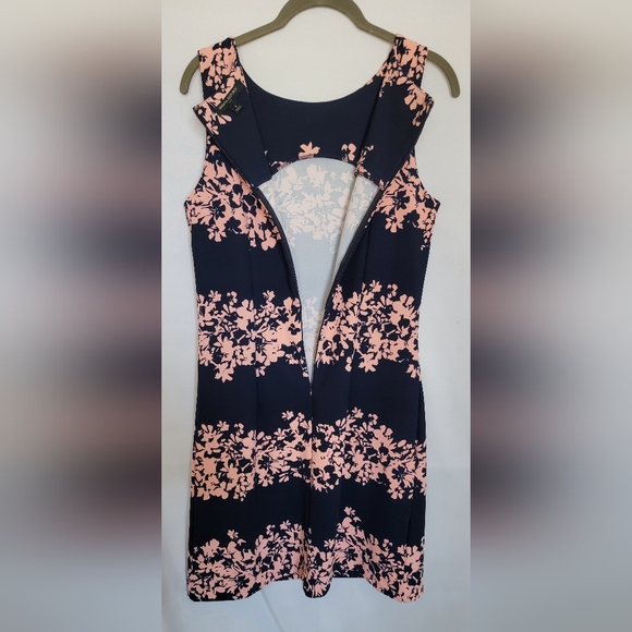 Banana Republic Pink & Navy Blue Sheath Mini Dress Scoop Neck Sleeveless… - Picture 8 of 9